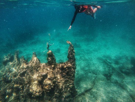 Japanese Wreck Marine Sanctuary